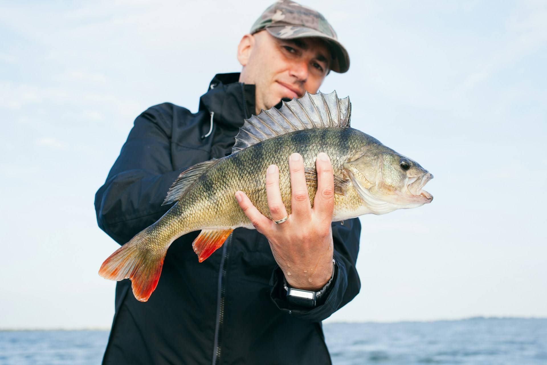 Angler holding walleye at sunrise dock on Leech Lake near Walker MN